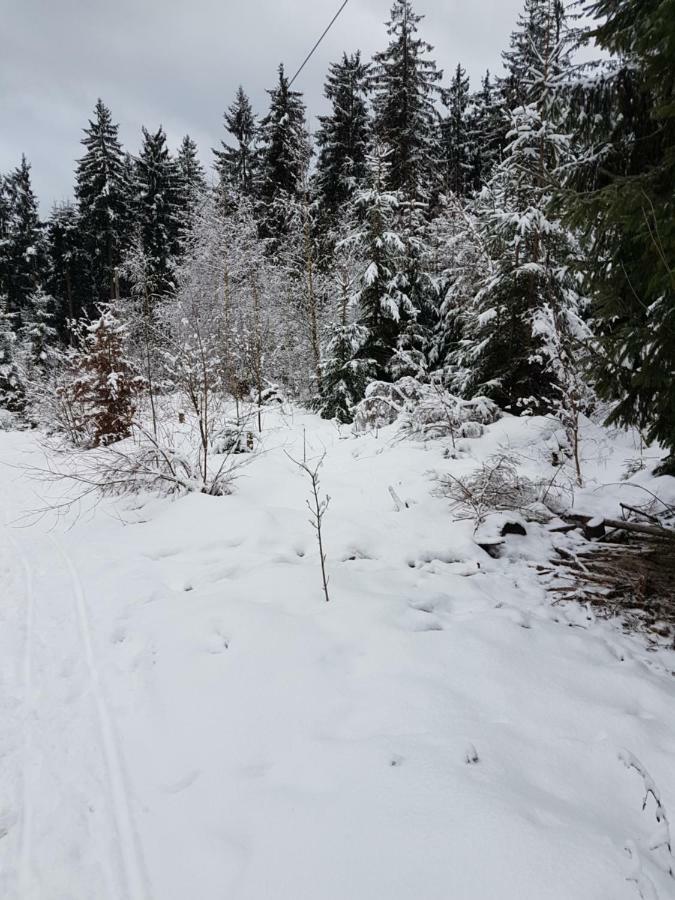 Rosalie - Lake - Hiking&Swimming - Cozy&Nature Winterberg Eksteriør billede